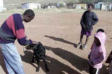 Τουλάχιστον 374 τα θύματα της επιδημίας γρίπης που έχει «χτυπήσει» τη Μαδαγασκάρη