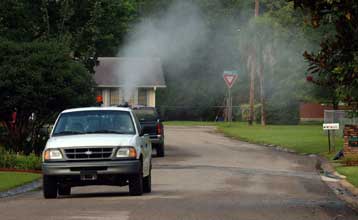 Επτά θύματα από τον ιό του Δυτικού Νείλου στη Λουιζιάνα