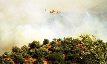 Μεγάλη πυρκαγιά αναζωπυρώθηκε το Σάββατο στη Λακωνία
