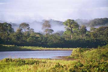 Το μεγαλύτερο τροπικό πάρκο στον κόσμο θα δημιουργήσει η κυβέρνηση της Βραζιλίας