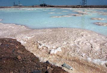Φιλόδοξο σχέδιο για τη σωτηρία της Νεκράς Θάλασσας ανέλαβαν Ισραήλ και Ιορδανία