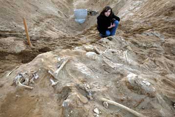 Τάφος στρατιωτών του Ναπολέοντα αποδεικνύει ότι ο Βοναπάρτης ηττήθηκε από το κρύο