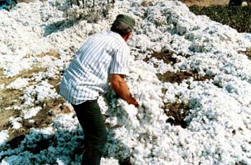 Διαμάχη στην ΕΕ μεταξύ βόρειων και νοτίων χωρών για Κοινή Αγροτική Πολιτική και βαμβάκι