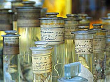 Την «κληρονομιά» του Δαρβίνου παρουσιάζει το βρετανικό Μουσείο Φυσικής Ιστορίας