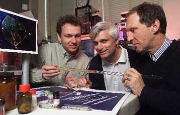 Τα επιστημονικά εργαστήρια Bell απέλυσαν επιστήμονα που «κατασκεύαζε» αποδείξεις