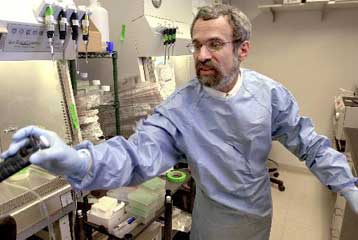 Στο «φως» ο τρόπος σχηματισμού της πιθανώς καρκινογόνου ουσίας ακρυλαμίδη στα τρόφιμα