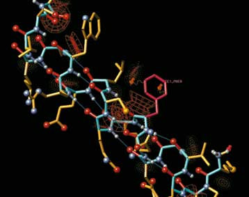 Νόμπελ Χημείας 2002 σε τρεις ερευνητές που ασχολούνται με τα βιολογικά μακρομόρια