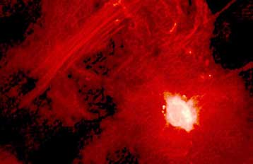 Μια τεράστια μαύρη τρύπα στη μέση του γαλαξία μας «είδαν» Γερμανοί αστρονόμοι