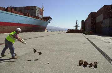 Ποσότητες εκρηκτικών σε φορτηγό-πλοίο που αγκυροβόλησε λόγω κακοκαιρίας στην Κροατία