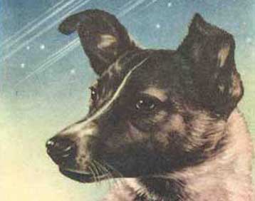 Η σκυλίτσα Λάικα δεν μπήκε ποτέ σε τροχιά γύρω από τη Γη, γράφει η ιταλική Repubblica