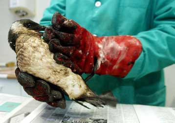 Το δεξαμενόπλοιο Prestige βυθίστηκε στα ανοικτά των βορειοδυτικών ακτών της Ισπανίας