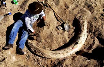 Χαυλιόδοντας ηλικίας 7 εκατ. ετών ανακαλύφθηκε στη Σητεία της Κρήτης