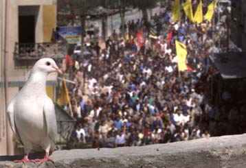 Νεκρός από πυρά Ισραηλινών ένοπλος Παλαιστίνιος κοντά σε εβραϊκό οικισμό