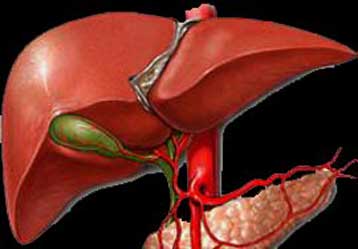 Επιτυχής εφαρμογή πρωτοποριακής μεθόδου θεραπείας του καρκίνου του ήπατος