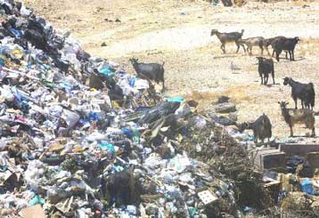Μέτρα κατά της Ελλάδας από την Κομισιόν για παρατυπίες στη διαχείριση απορριμμάτων
