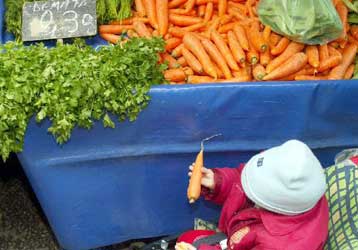 Απαισιόδοξες οι εκτιμήσεις ΕΣΥΕ για αποκλιμάκωση του πληθωρισμού το Δεκέμβριο