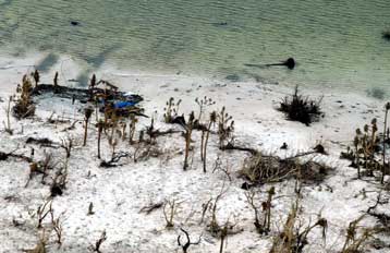 Αγνοούνται 700 κάτοικοι των Νήσων Σολομώντα μετά από το πλήγμα ισχυρού κυκλώνα