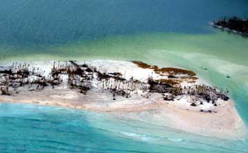 Αντιφατικές οι πληφοροφορίες για τα νησιά του Ειρηνικού που έπληξε ο κυκλώνας «Ζωή»