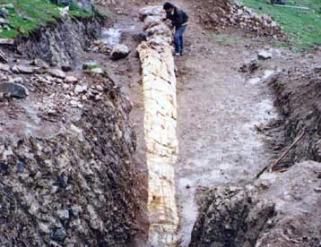 Εντυπωσιακά ευρήματα απολιθωμένων δένδρων έρχονται στην επιφάνεια στη δυτική Λέσβο