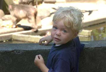 Και οι ΗΠΑ αναστέλλουν επ αόριστο τις δοκιμαστικές μεθόδους γονιδιακής θεραπείας