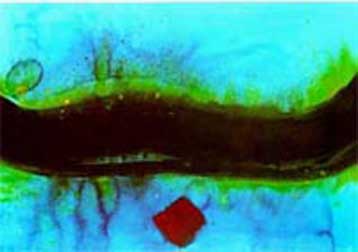 Πενηντα μία γυναίκες από 21 ισλαμικές χώρες ενώνουν τη φωνή τους σε έκθεση ζωγραφικής