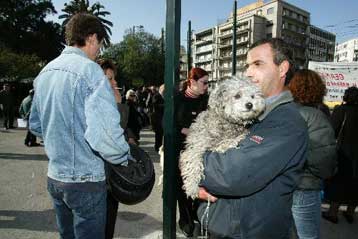 Με 50.000 υπογραφές αντιδρούν οι φιλόζωοι στις δηλητηριάσεις σκύλων και γατών