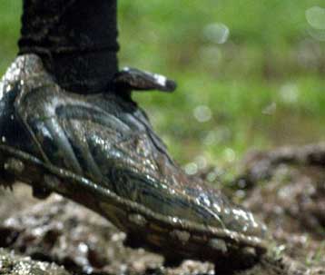 Παράταση έως τις 17 Φεβρουαρίου οι μεταγραφές «ελευθέρων» παικτών