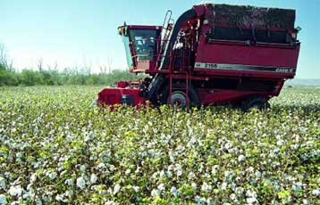 Δέκα εκατ. ευρώ καλείται να επιστρέψει η Ελλάδα στο Ευρωπαϊκό Γεωργικό Ταμείο