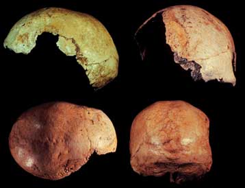 Πριν από 50.000 χρόνια έφθασαν οι πρώτοι άνθρωποι στην Αυστραλία