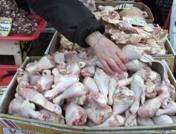 Απαγόρευση στις εξαγωγές πουλερικών από την Ολλανδία έως τις 13 Μαρτίου
