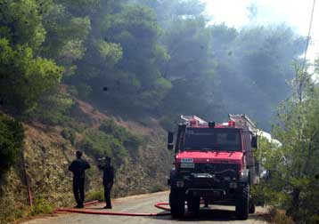 Αντισυνταγματικό το νομοσχέδιο για τα δάση, σύμφωνα με τη Νομοπαρασκευαστική Επιτροπή