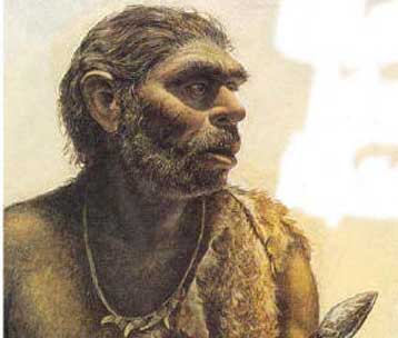 Μία διαφορετική εικόνα του ανθρώπου του Νεάντερταλ προκύπτει από νεότερες έρευνες