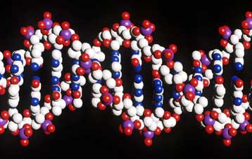 Ολοκληρώθηκε η πλήρης χαρτογράφηση του ανθρώπινου γονιδιώματος