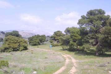 Ενστάσεις για τη συνταγματικότητα ν/σ που ρυθμίζει θέματα αγροτικής γης