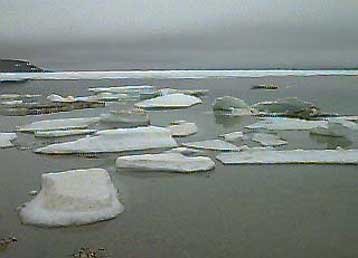 Επιστήμονες φέρνουν στο «φως» το αρχαιότερο DNA στον πλανήτη