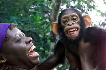 Οι χιμπατζήδες είναι γενετικά σχεδόν ανθρώπινοι, αποκαλύπτει νέα ανάλυση