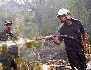 Μεγάλη πυρκαγιά μαίνεται στην περιοχή Βασιλικά της Σαλαμίνας