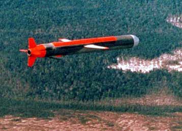 Πύραυλο cruise ισχυρίζεται ότι κατασκευάζει στο γκαράζ του ένας Νεοζηλανδός