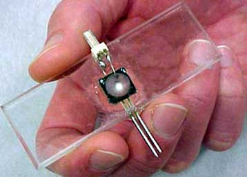 Ερευνητές συνδέουν τσιπ με ζωντανά κύτταρα για να ανιχνεύσουν τοξικές ουσίες