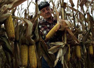 Οι γενετικά τροποποιημένες καλλιέργειες «ελπίδα για τον αναπτυσσόμενο κόσμο»