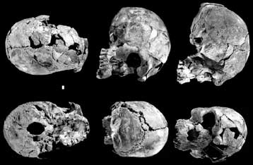 Τα παλαιότερα απολιθώματα του Homo sapiens ανακαλύπτονται στην Αιθιοπία