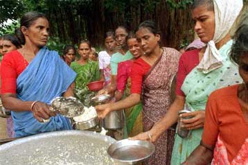 Η Ινδία θα καταπολεμήσει τον υποσιτισμό με γενετικά τροποποιημένες πατάτες
