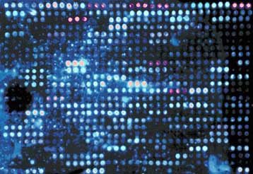 Tσιπ DNA που προβλέπει την αντίδραση σε φάρμακα σύντομα στην αγορά