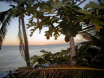 Κοραλλιογενές νησί γίνεται η καλύτερα δικτυωμένη χώρα στον κόσμο