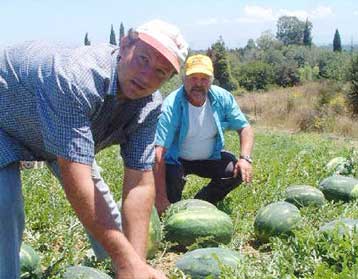 Ξεκίνησε η καταβολή των πιστώσεων για το πρόγραμμα «Νέοι Αγρότες» του υπ.Γεωργίας