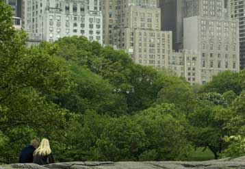 Τα δέντρα στη Νέα Υόρκη είναι ψηλότερα από ό,τι στα περίχωρα