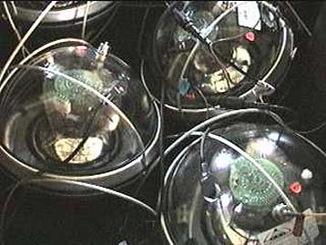 Τεράστιο τηλεσκόπιο στο Νότιο Πόλο βλέπει το Σύμπαν μέσα από τη Γη