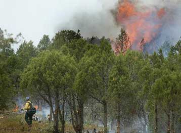 Στις φλόγες έχουν παραδοθεί χιλιάδες στρέμματα δάσους στη νοτιοανατολική Γαλλία