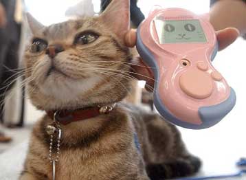 Μα επιτέλους τι θέλει να μας πει με αυτό το νιαούρισμα;