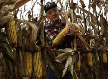 Εγκρίθηκε ο κανονισμός της ΕΕ για τη σήμανση των γενετικά τροποποιημένων προϊόντων